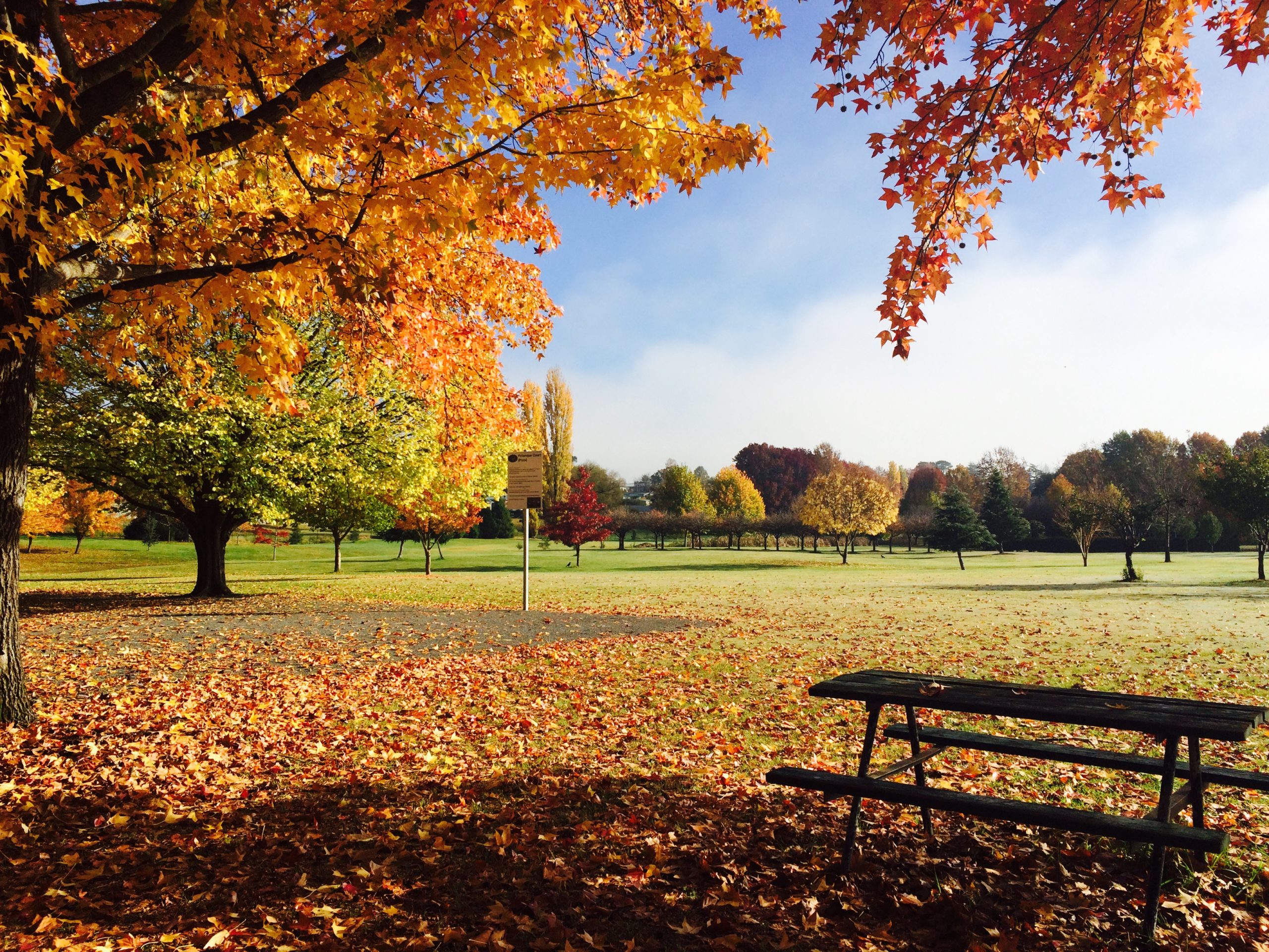 Tenterfield Town Parks Tenterfield Shire Council
