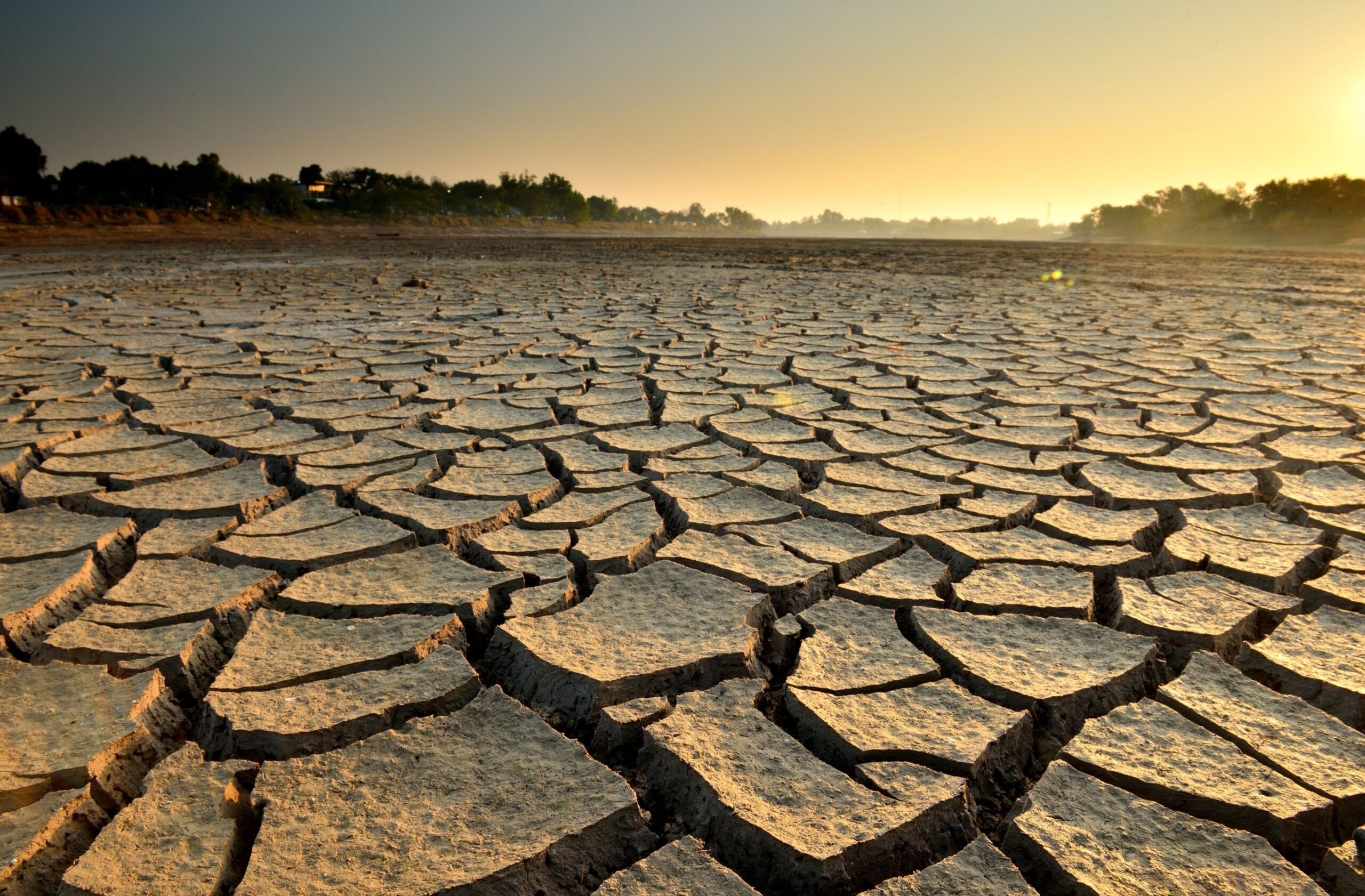 drought case study uk